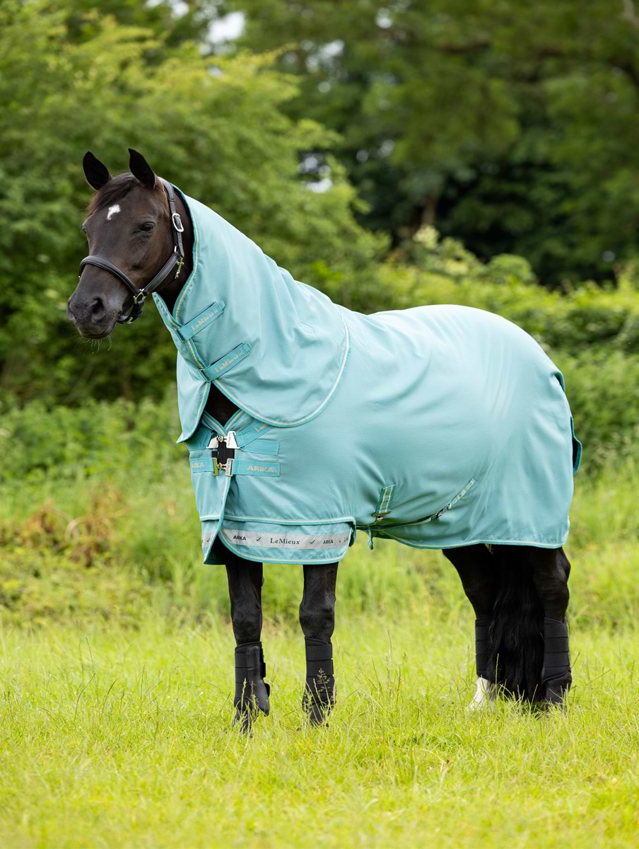 LeMieux Arika Ripstop 0g Turnout Rug Lagoon