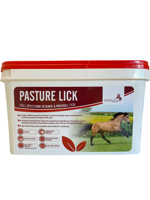 Saracen Pasture Lick 10kg