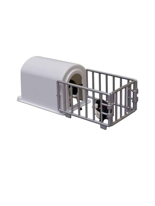 Kids Globe Calf Hutch & Calves