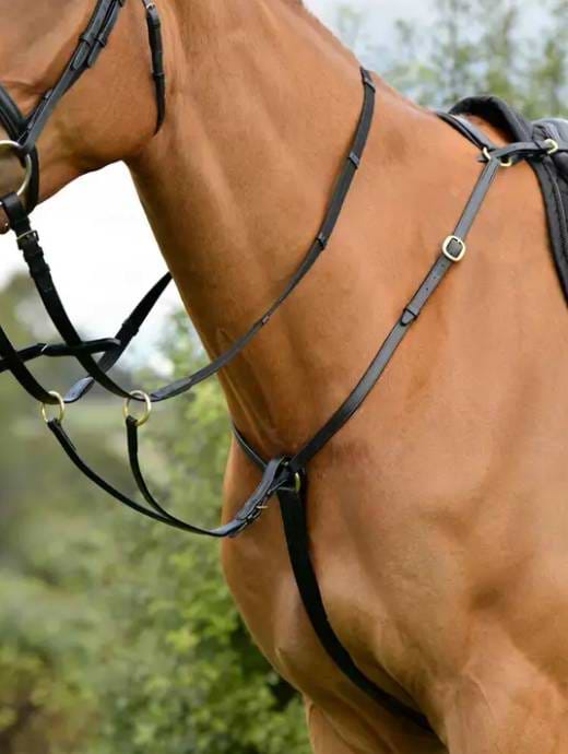 Kincade Classic 3 Point Breastplate with Running Martingale Black