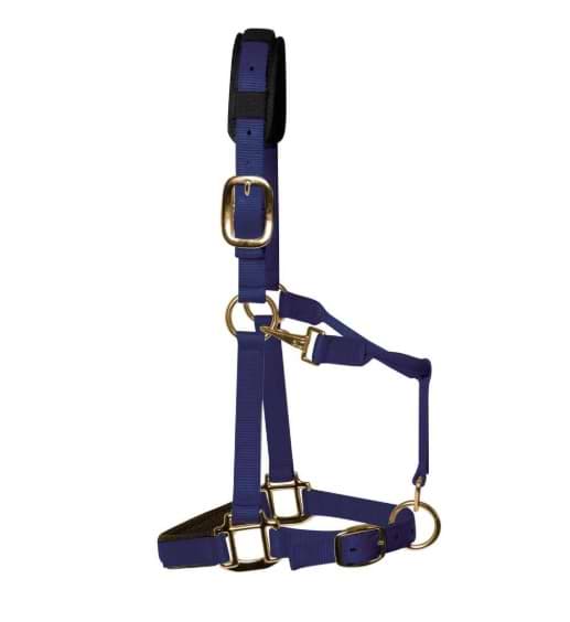 KM Elite Padded Headcollar Navy