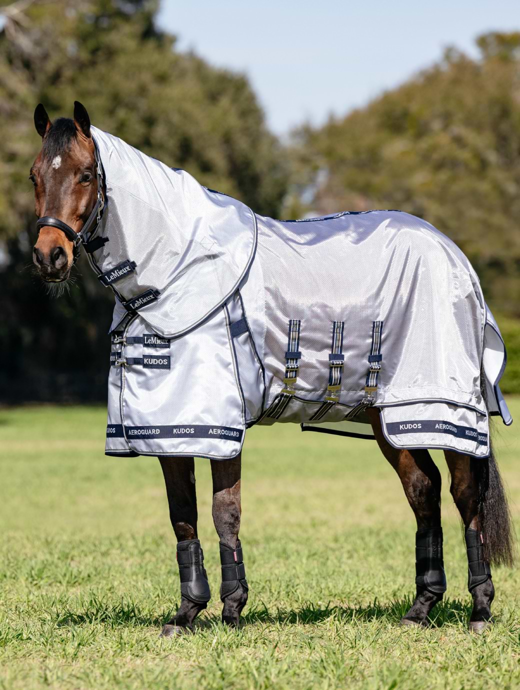 LeMieux Kudos AeroGuard Fly Rug Silver