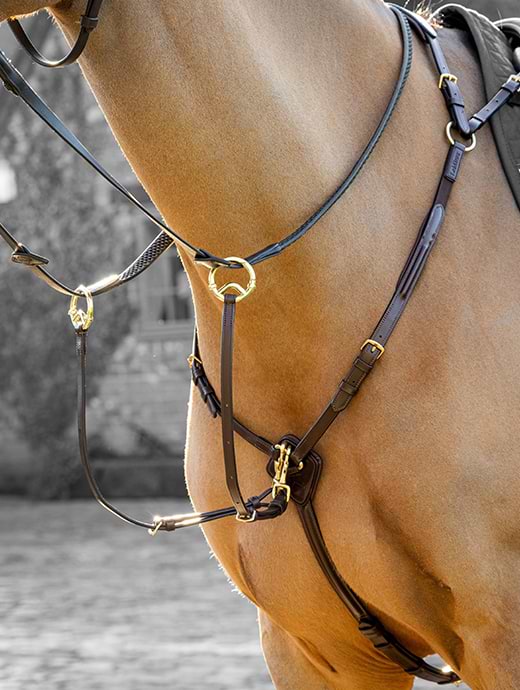 LeMieux Breastplate (D-Ring Attachment) Havana/Brass