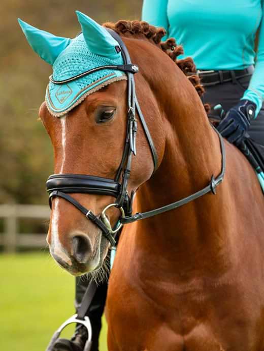 LeMieux Classic Fly Hood Azure
