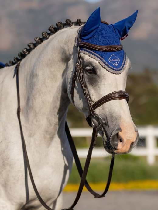 LeMieux Classic Fly Hood Benetton Blue 