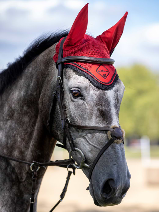 LeMieux Classic Fly Hood Chilli