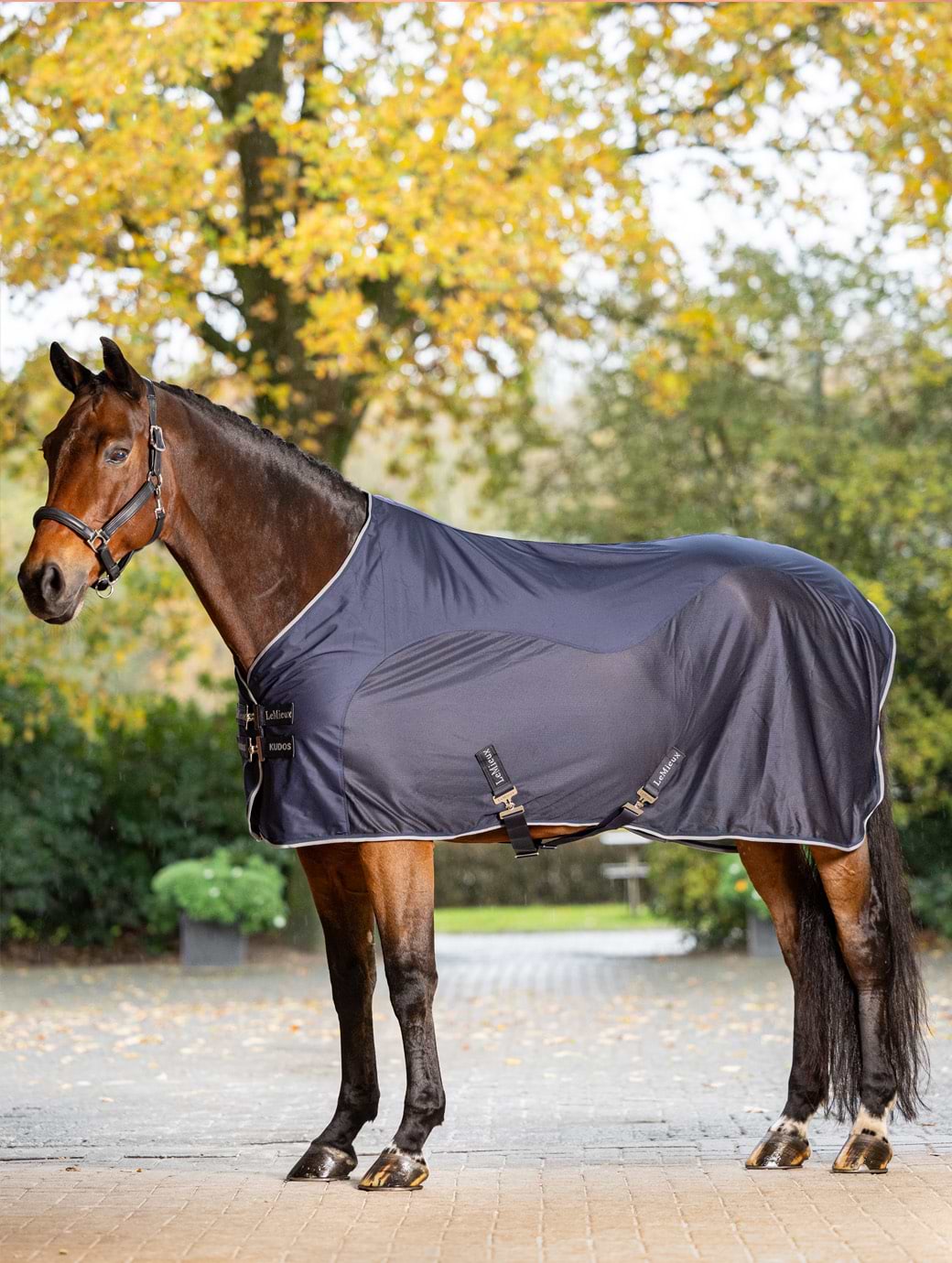 LeMieux Kudos Hybrid Cooler Navy
