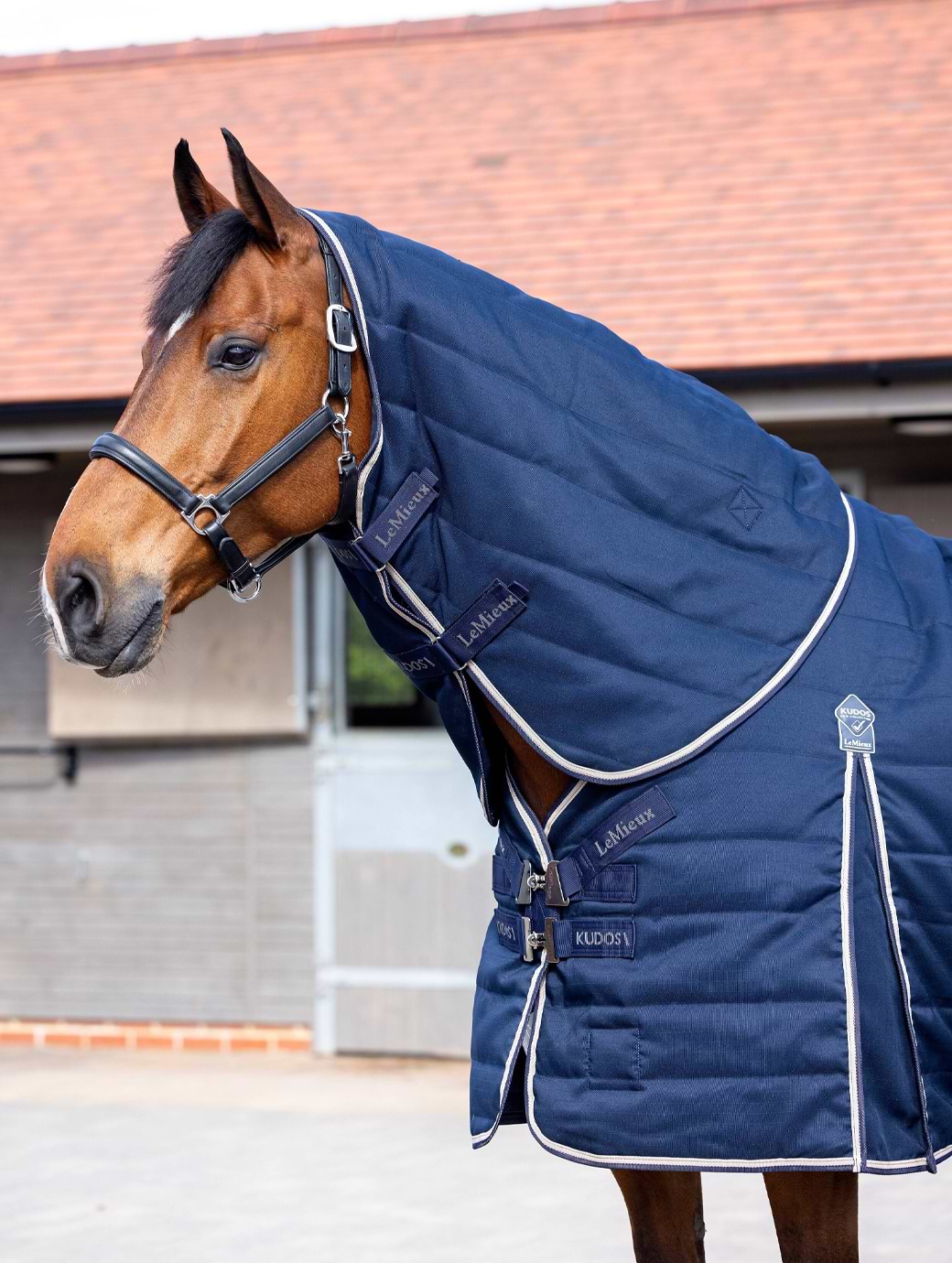LeMieux Kudos Stable Neck Cover 100g Navy