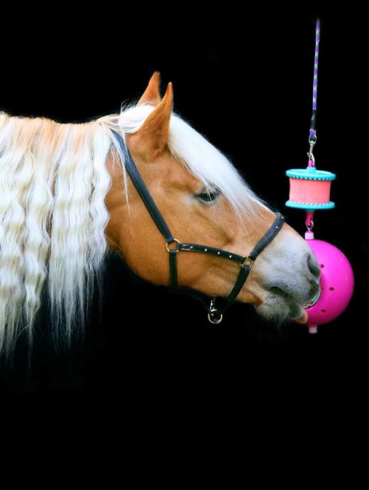 Breakers For Horses Likit Boredom Breaker U2013 G&E Pharmacy