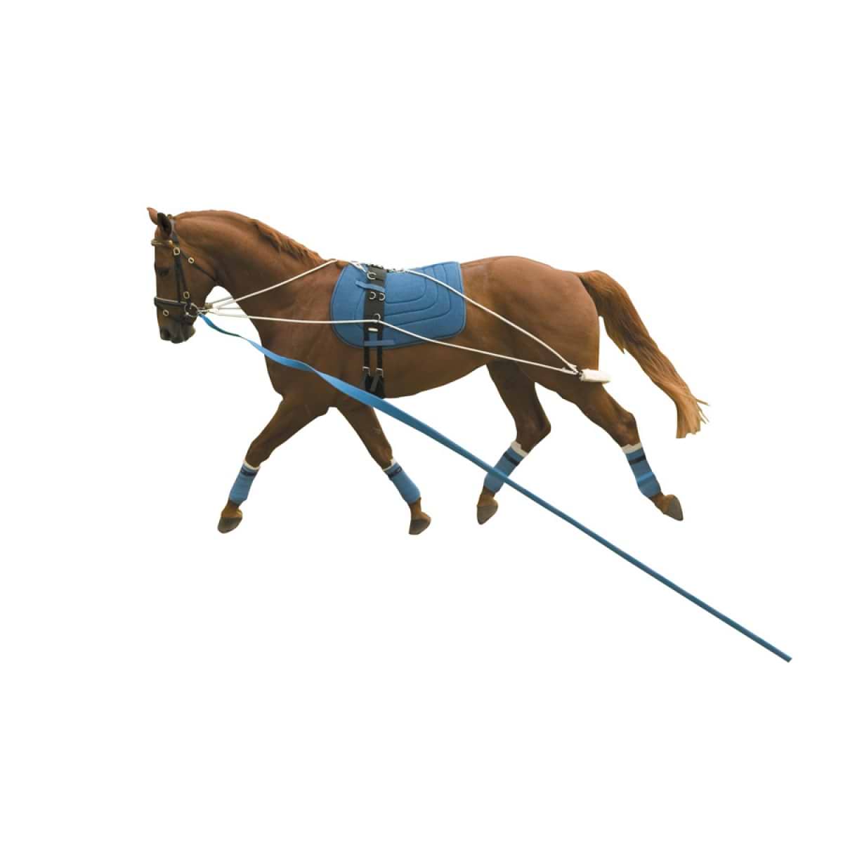 Kincade Lunging Training Aid 