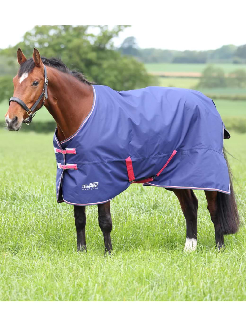 Shires Tempest Original Air Motion Turnout Rug - Navy