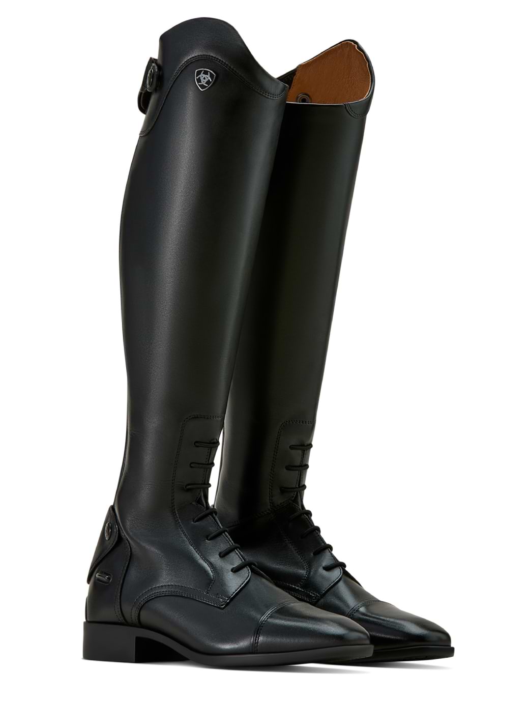 Ariat Palisade Field Tall Riding Boot Black