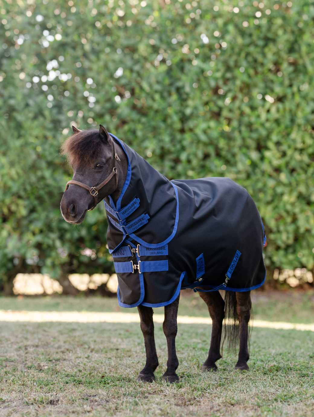 Horseware Amigo Ripstop 900D Plus Petite Turnout 0g Black