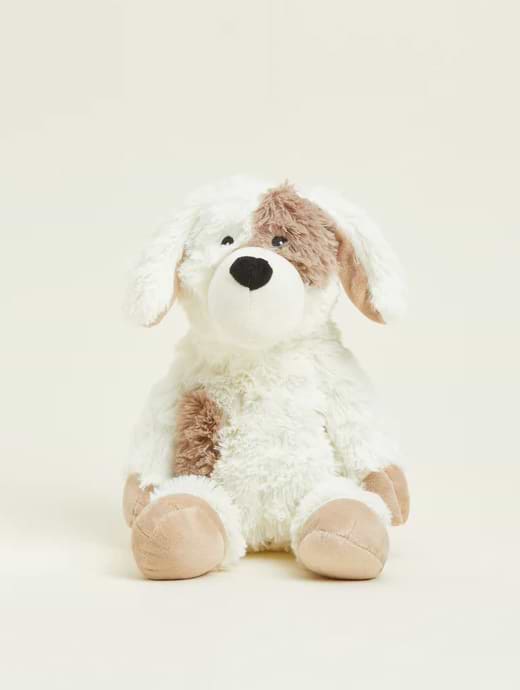 *AW23*Warmies Plush Puppy Cream (Sitting)