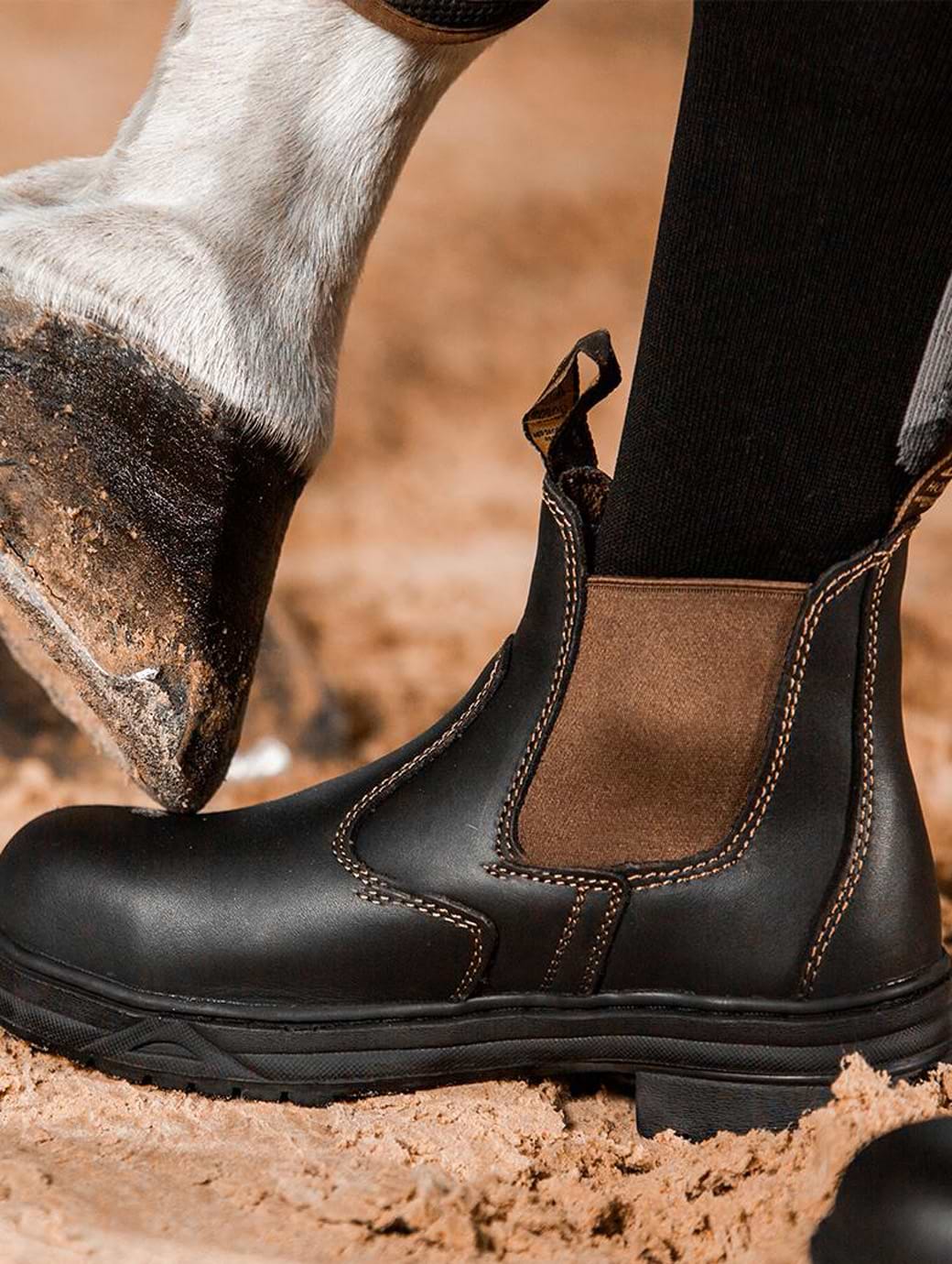 Mountain Horse Protective Jodphur Boot Brown | Griggs Equestrian