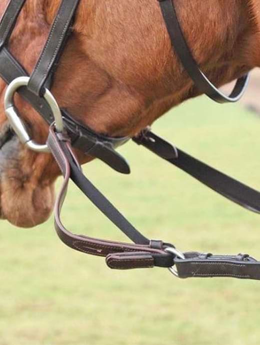 Shires 3264 Flexi-Rein Black