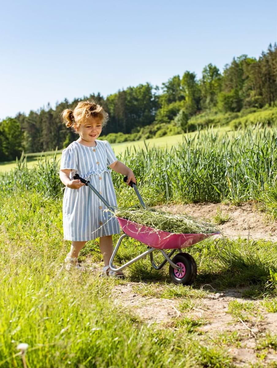 Rolly toys wheelbarrow new arrivals