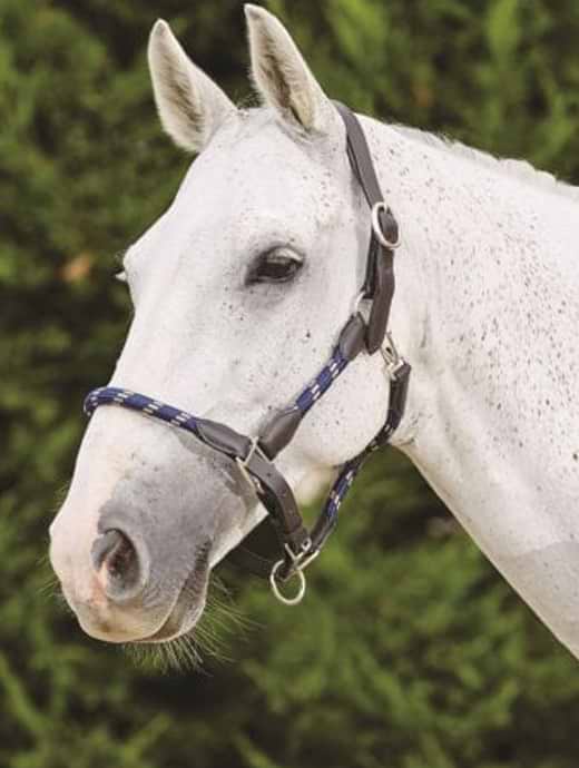 Kincade Leather Rope Head Collar Navy