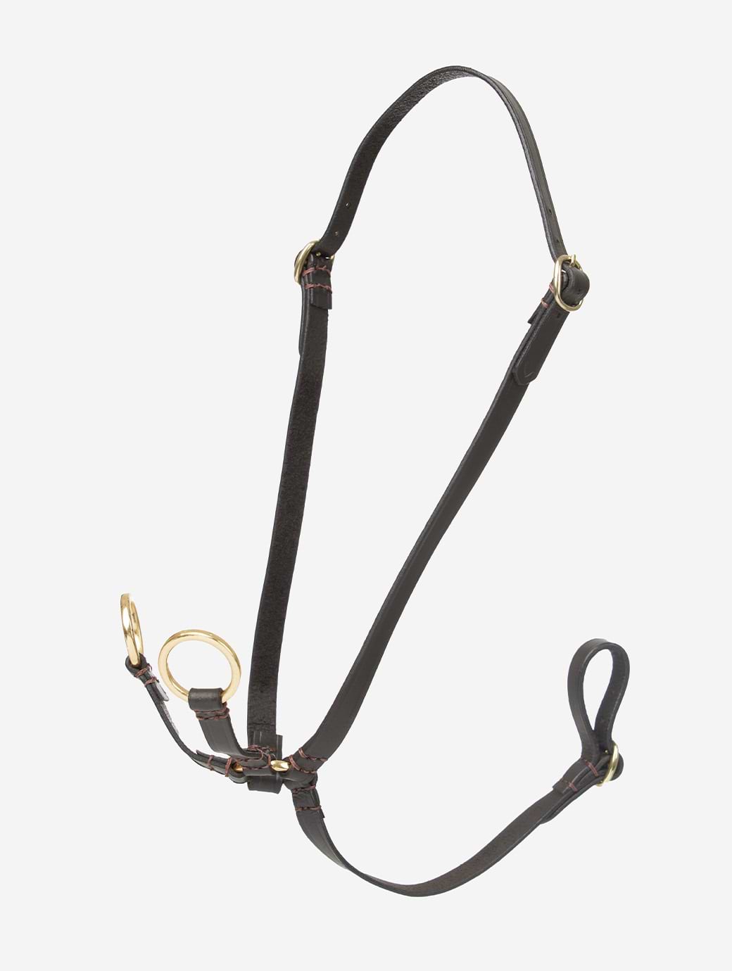 LeMieux Hobby Horse Running Martingale Brown