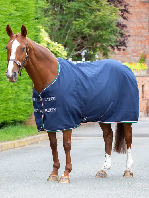 Shires Tempest Original Stable Sheet - Marine