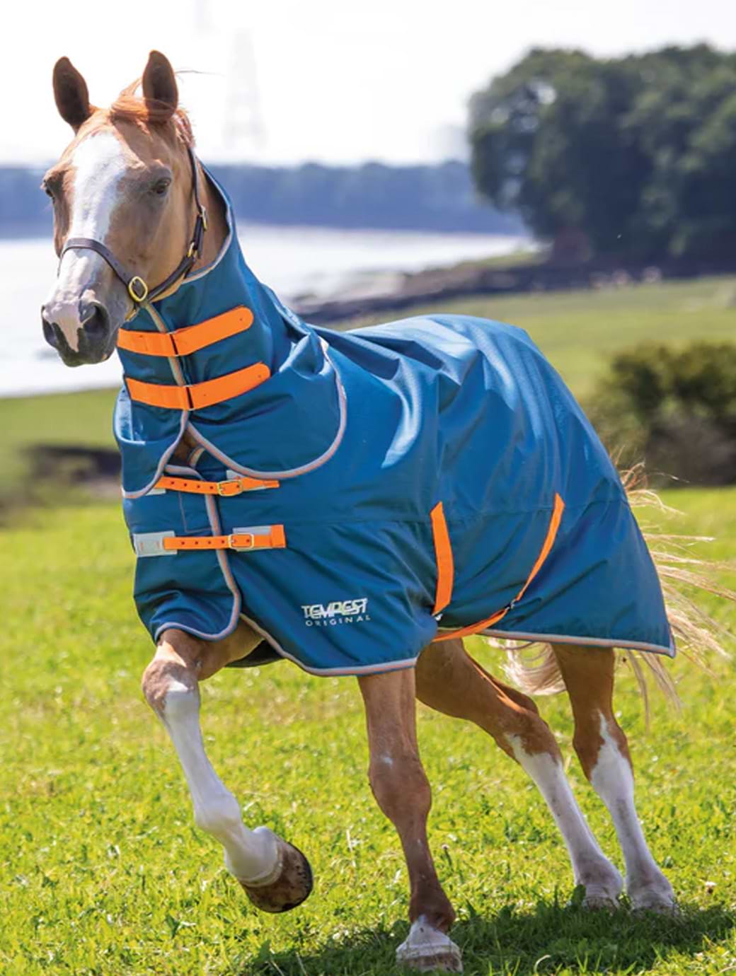 Tempest Original Lite Turnout Rug & Neck Teal