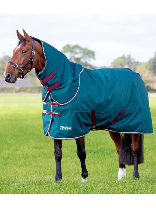 Shires Tempest Original 200 Turnout Rug & Neck Set Green