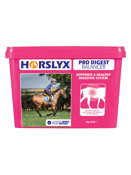 DFS Horsylx Pro Digest Balancer Lick 5kg