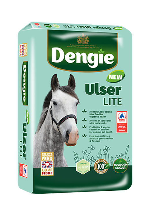 Dengie Ulser Lite (Store Collection Only)