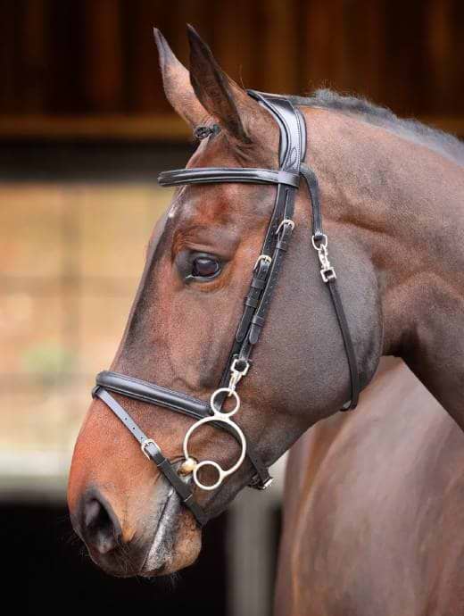 Velociti Rapida Training Bridle Black