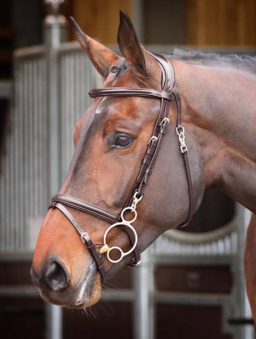 Velociti Rapida Training Bridle Havana