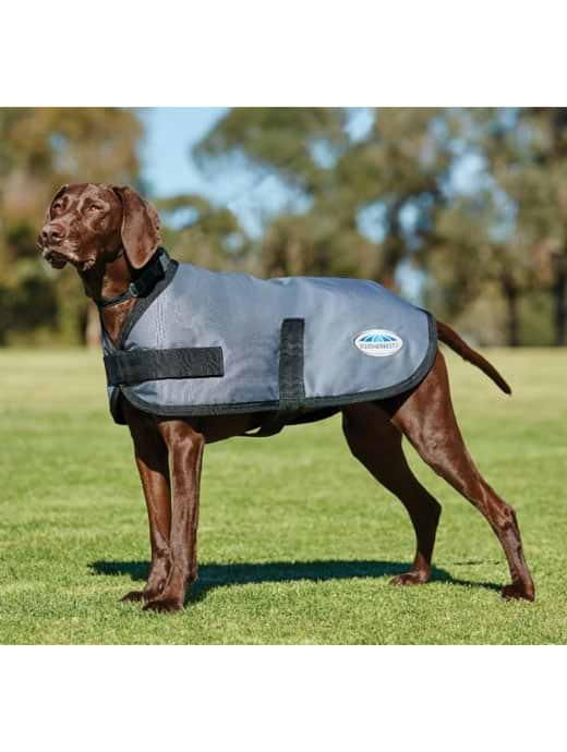 Weatherbeeta Comfitec Classic Parka Dog Coat Grey