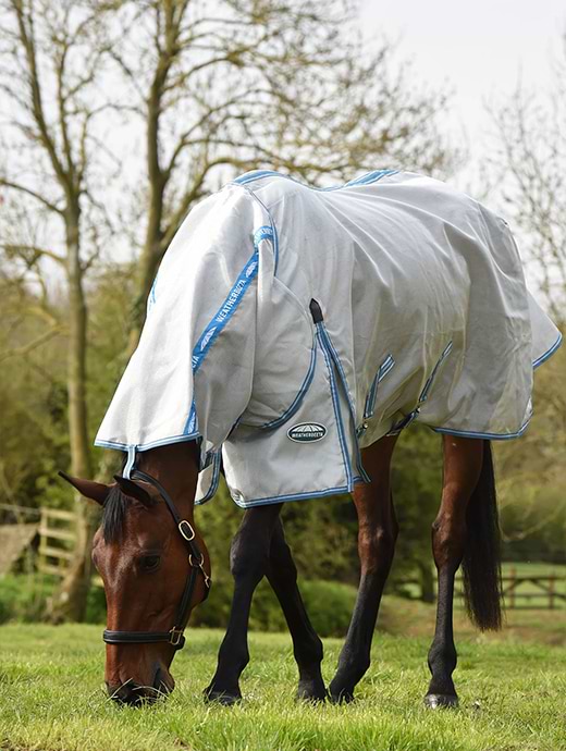 Weatherbeeta Comfitec Hexi Shield Combo Neck Silver/Teal Blue