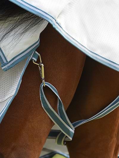 Got a rug wrecker on your hands? The WeatherBeeta ComFiTec Ripshield Fly Sheet Combo is designed to go the distance 💪 Shop in-store and online Got a rug wrecker on your hands? The WeatherBeeta ComFiTec Ripshield Fly Sheet Combo is designed to go the distance 💪 Shop in-store and online