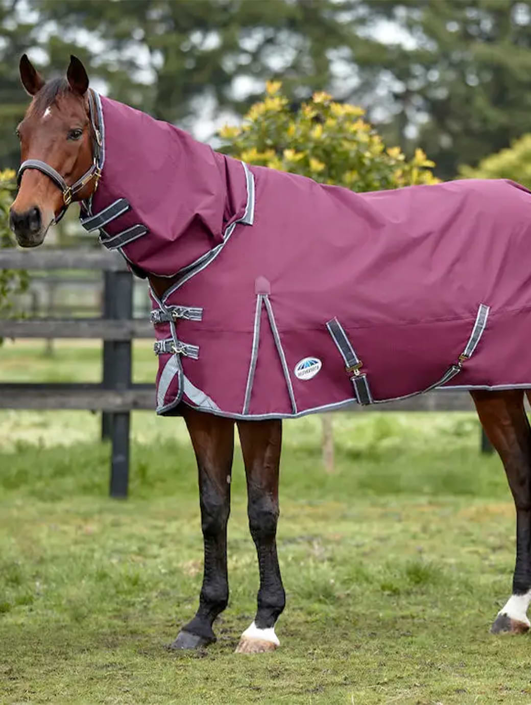 Weatherbeeta ComfiTec Plus Dynamic II Detach-a-neck Lite Maroon/Grey/White