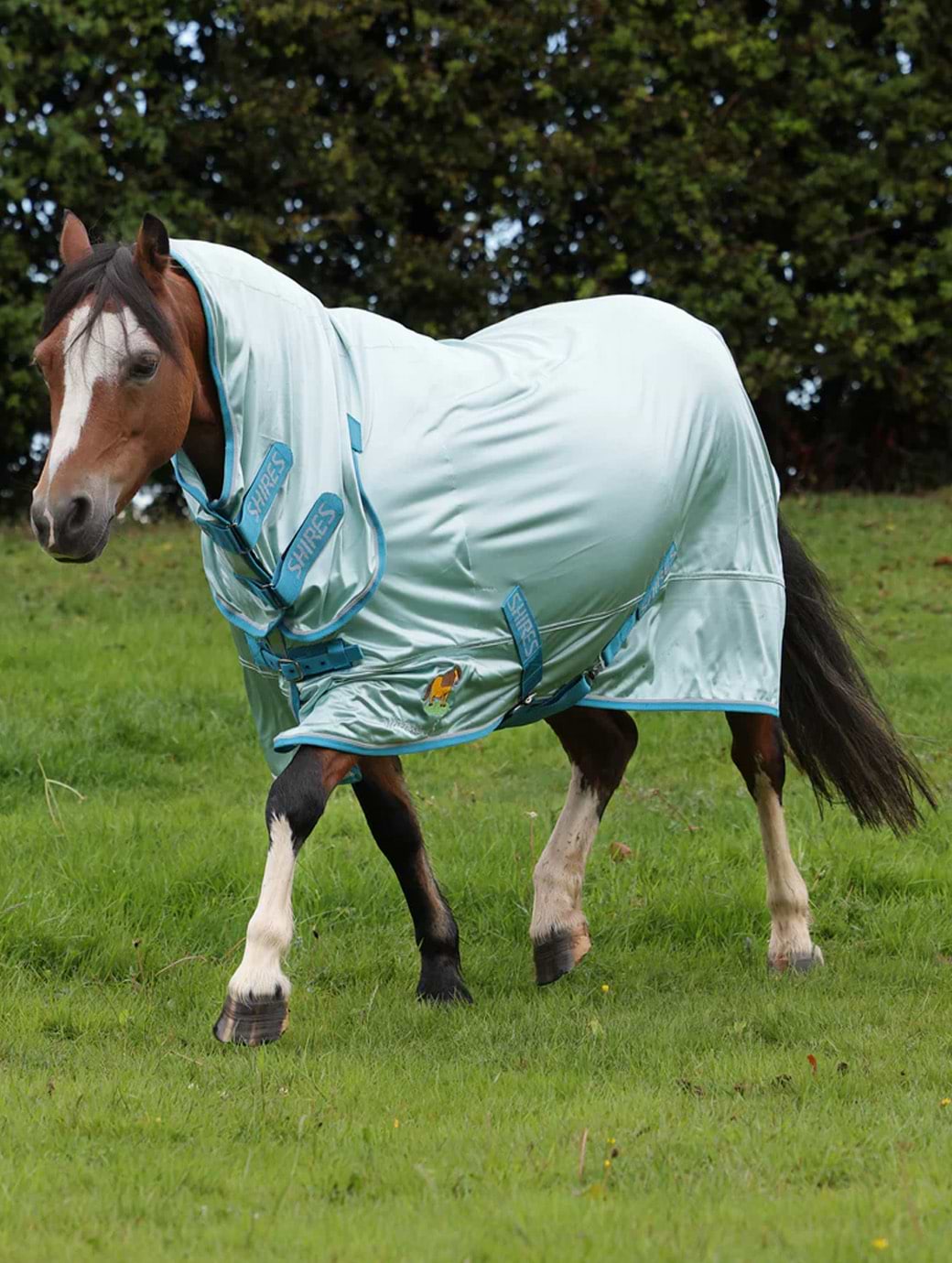 Shires Winnie & Me Fly Combo Rug Light Blue