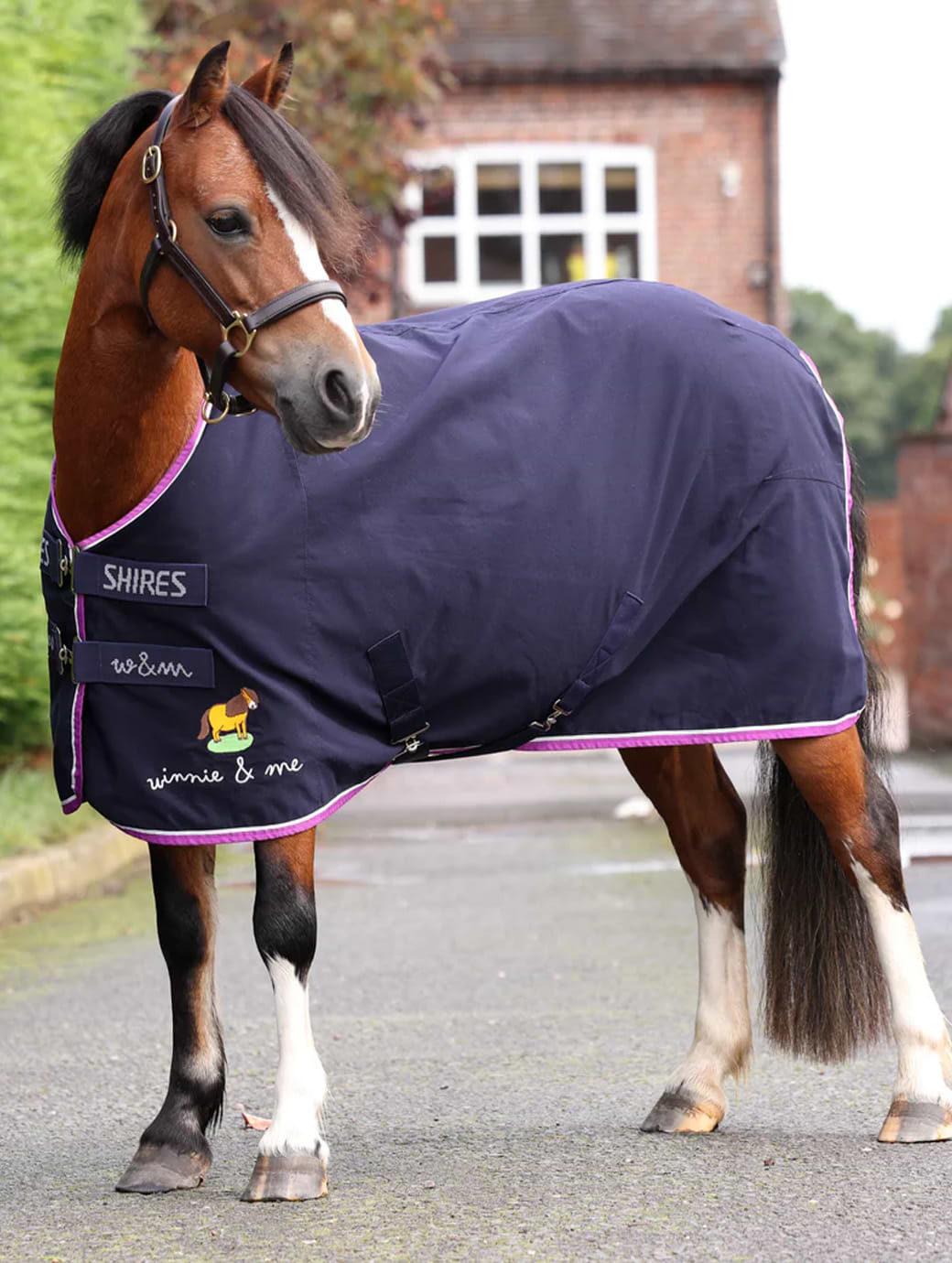 Shires Winnie & Me Stable Sheet Navy