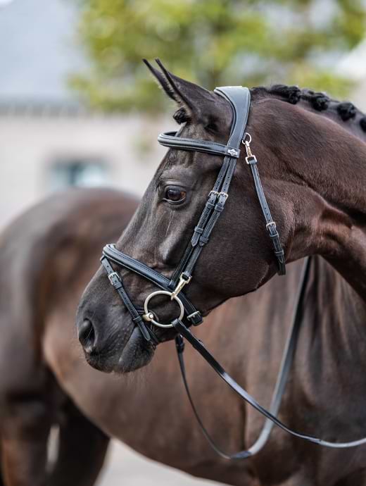 LeMieux Work Bridle Black 