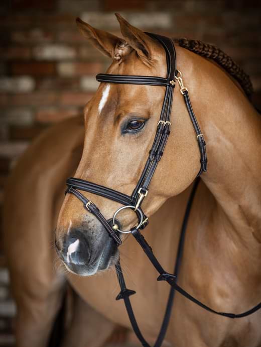 LeMieux Work Bridle Brown 