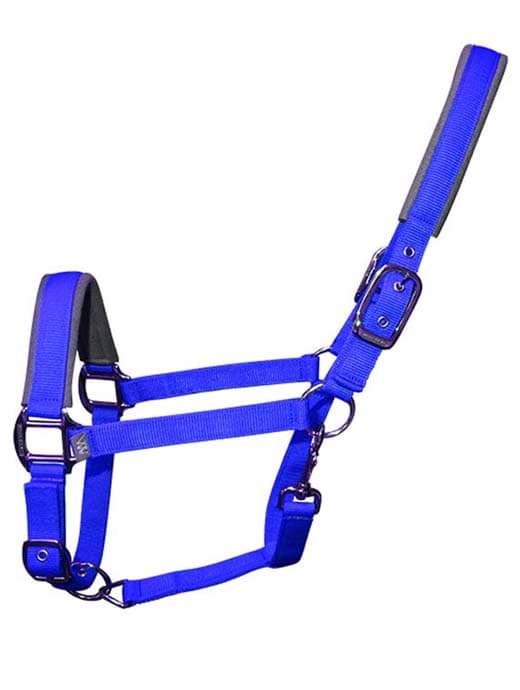 Woof Wear Contour Head Collar Electric Blue 
