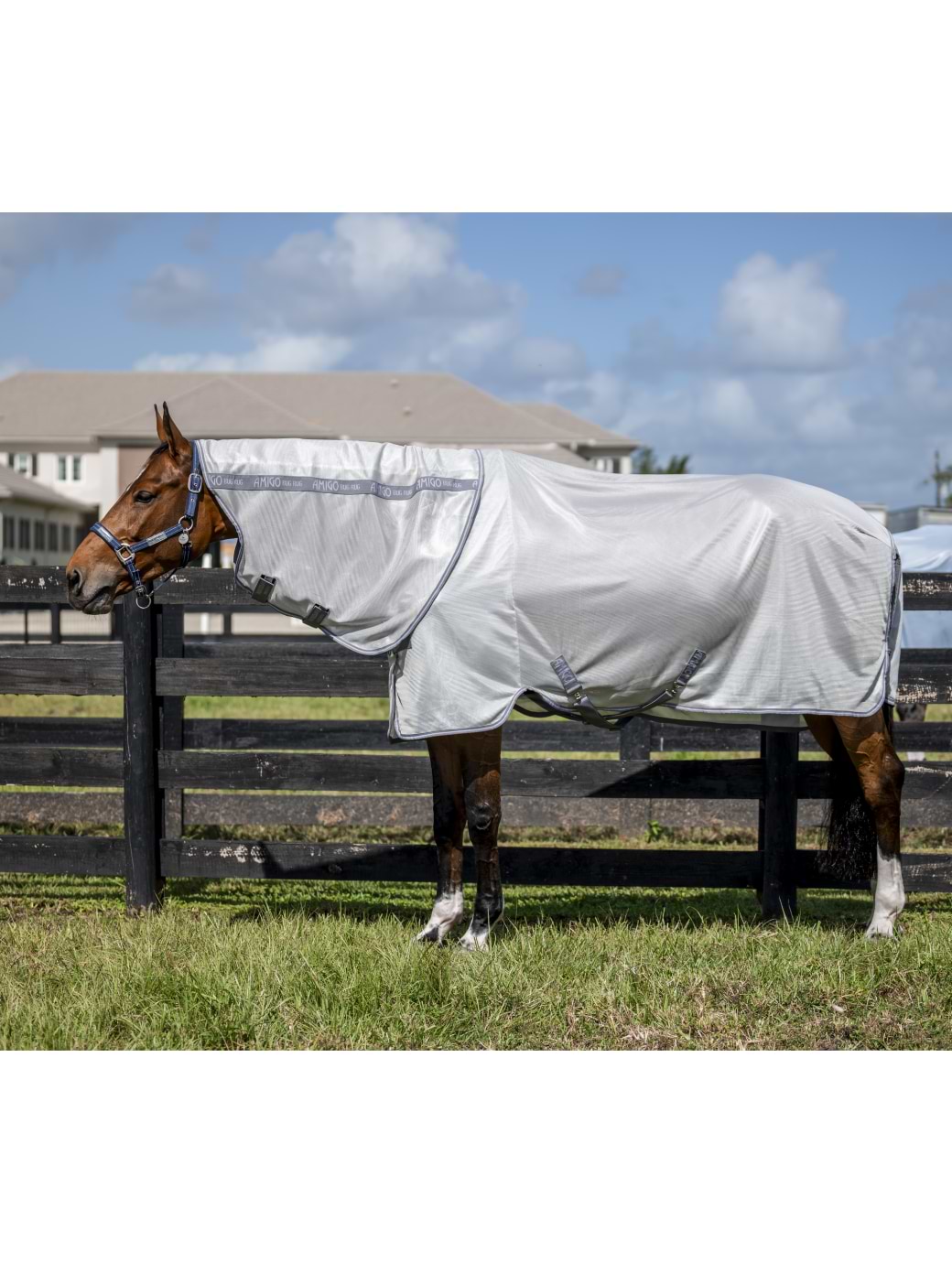 Horseware Amigo Bug Rug XL Plus Silver/Titanium