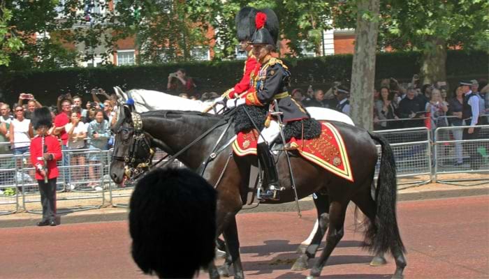 Princess Anne: A Passion for Horses