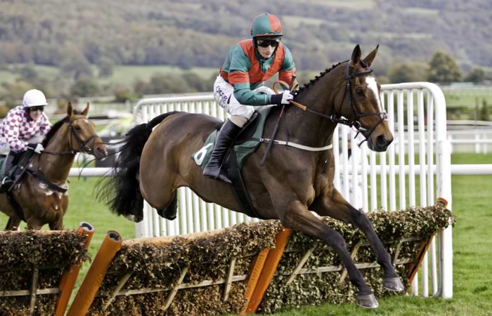 Horse Racing: The History