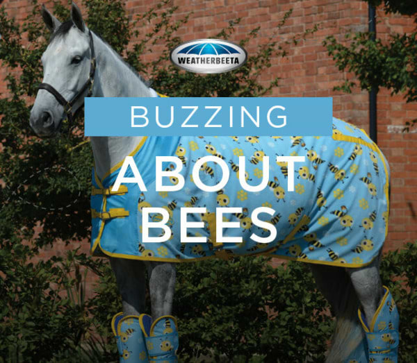 The Bug Rug Buzz