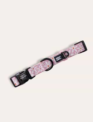 Shop Collars
