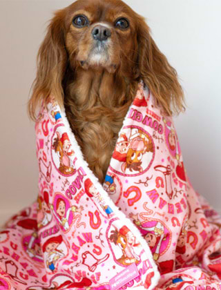 Shop Blankets + Towels