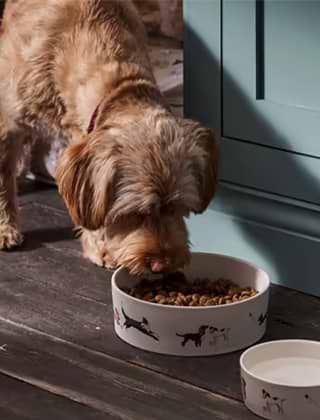 Bowls & Feed Storage