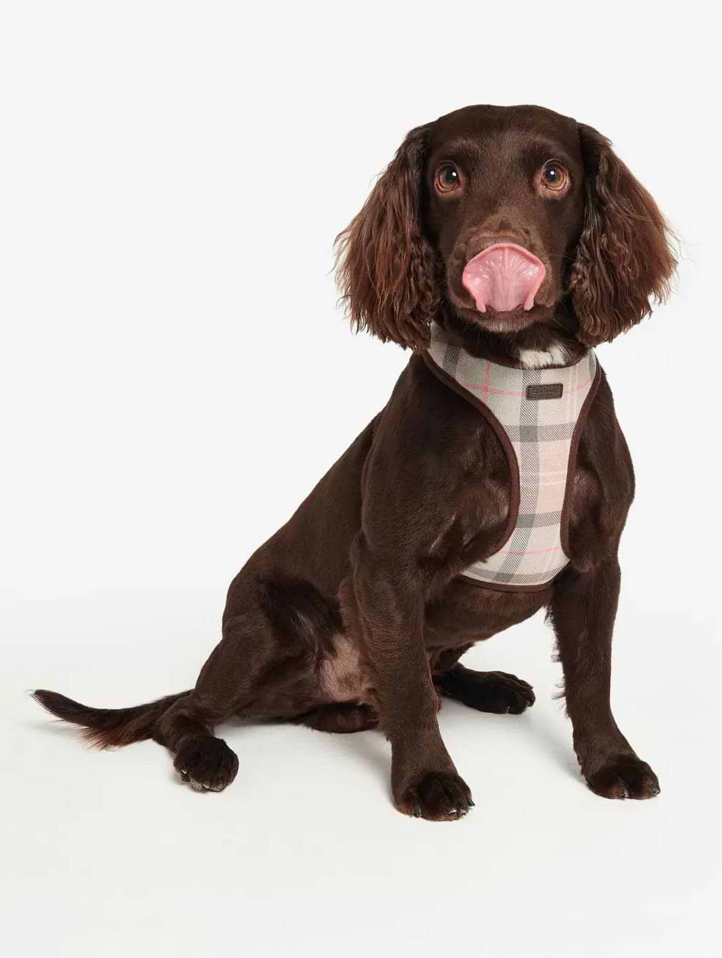 Barbour Tartan Dog Harness Taupe/Pink