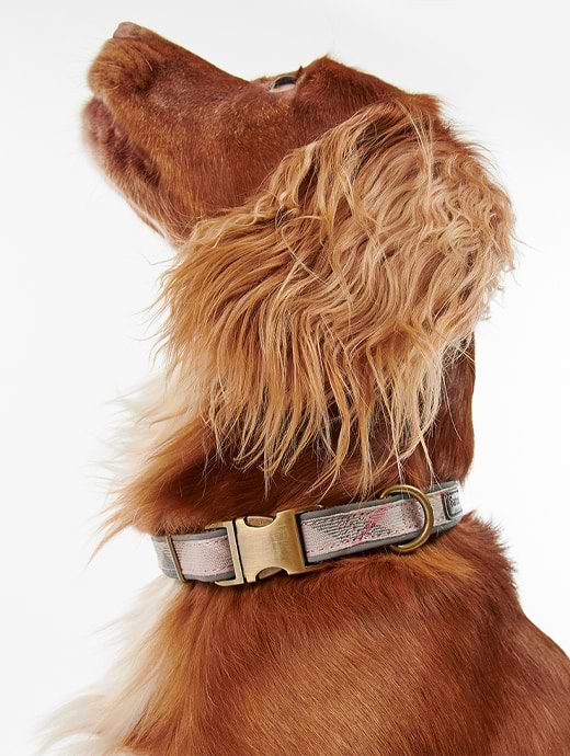 Pink plaid dog collar best sale