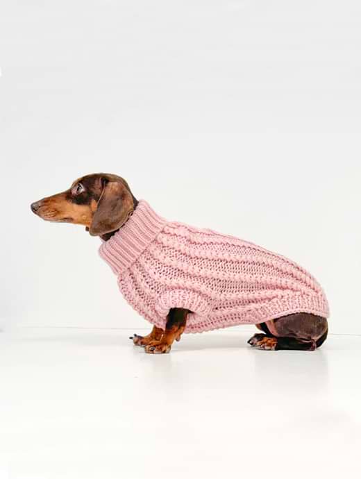 The knitted dachshund discount