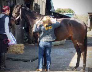 Feed Advice Day